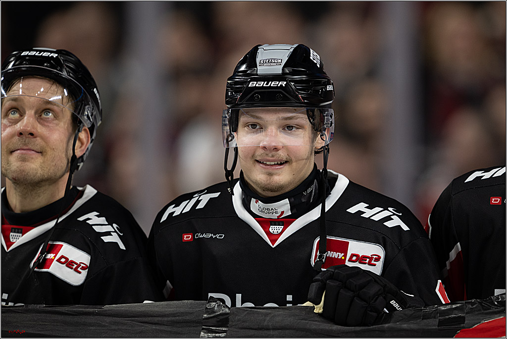 PENNY DEL 1; Kölner Haie - Düsseldorfer EG ; Köln, 16.02.2025